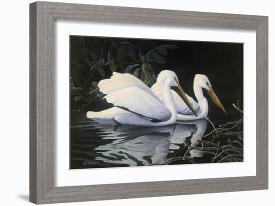 Pelicans-Michael Budden-Framed Giclee Print