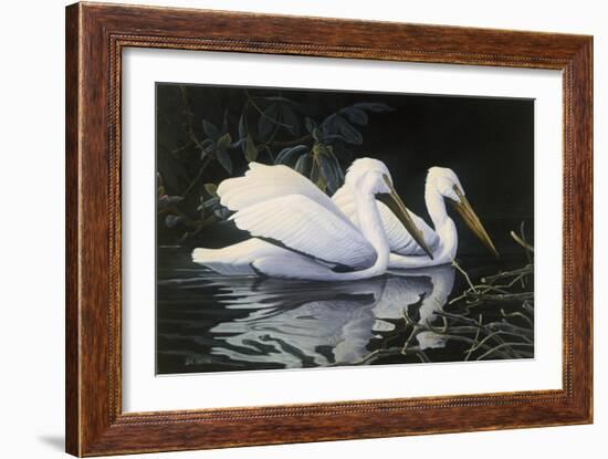 Pelicans-Michael Budden-Framed Giclee Print