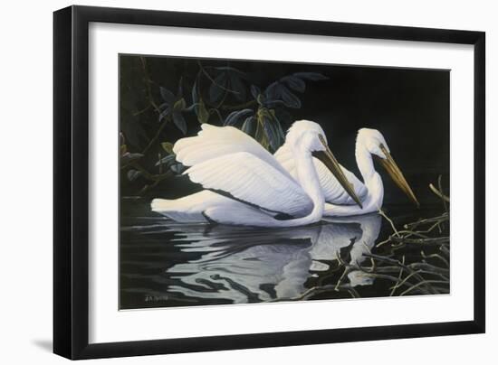 Pelicans-Michael Budden-Framed Giclee Print