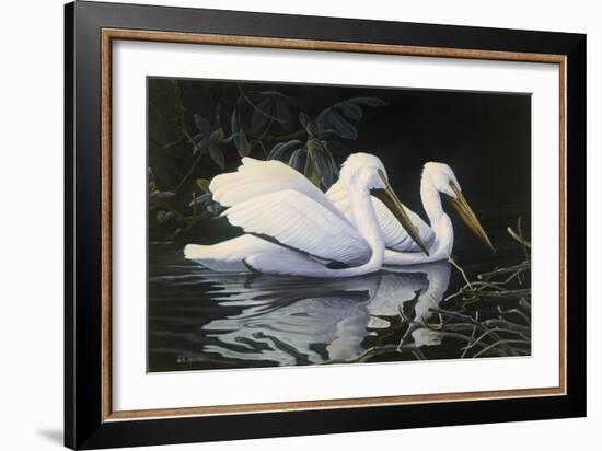 Pelicans-Michael Budden-Framed Giclee Print