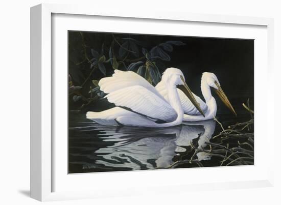 Pelicans-Michael Budden-Framed Giclee Print