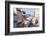 Pelourinho, Salvador, Bahia, Brazil-Peter Adams-Framed Photographic Print