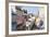 Pelourinho, Salvador, Bahia, Brazil-Peter Adams-Framed Photographic Print