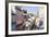 Pelourinho, Salvador, Bahia, Brazil-Peter Adams-Framed Photographic Print