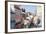 Pelourinho, Salvador, Bahia, Brazil-Peter Adams-Framed Photographic Print