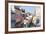 Pelourinho, Salvador, Bahia, Brazil-Peter Adams-Framed Photographic Print