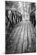 Photographic Print