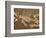 Pelycosaur fossil found in Texas-Kevin Schafer-Framed Photographic Print