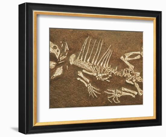 Pelycosaur fossil found in Texas-Kevin Schafer-Framed Photographic Print