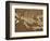 Pelycosaur fossil found in Texas-Kevin Schafer-Framed Photographic Print