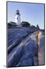 Pemaquid Point Lighthouse, Bristol, Maine-Gayle Harper-Mounted Photographic Print