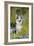 Pembroke Welsh Corgi Sitting Between Tree Trunks-null-Framed Photographic Print