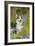 Pembroke Welsh Corgi Sitting Between Tree Trunks-null-Framed Photographic Print