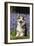 Pembroke Welsh Corgi Standing in Bluebells-null-Framed Photographic Print