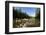 Pemigewasset River in New Hampshire's White Mountains-Jerry & Marcy Monkman-Framed Photographic Print