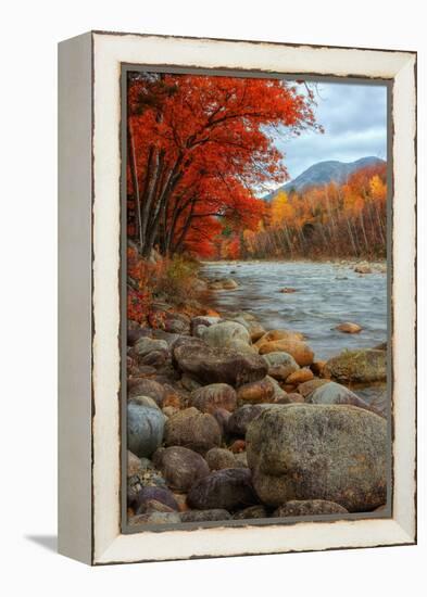 Pemigewasset Riverside in Autumn-Vincent James-Framed Premier Image Canvas