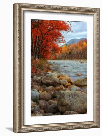 Pemigewasset Riverside in Autumn-Vincent James-Framed Photographic Print