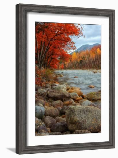 Pemigewasset Riverside in Autumn-Vincent James-Framed Photographic Print