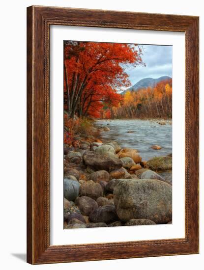 Pemigewasset Riverside in Autumn-Vincent James-Framed Photographic Print