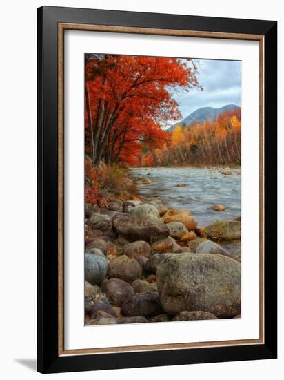 Pemigewasset Riverside in Autumn-Vincent James-Framed Photographic Print