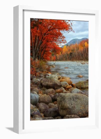 Pemigewasset Riverside in Autumn-Vincent James-Framed Photographic Print