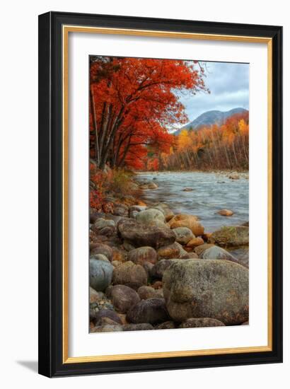 Pemigewasset Riverside in Autumn-Vincent James-Framed Photographic Print