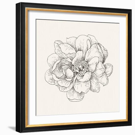 Pen and Ink Florals IV-Danhui Nai-Framed Art Print