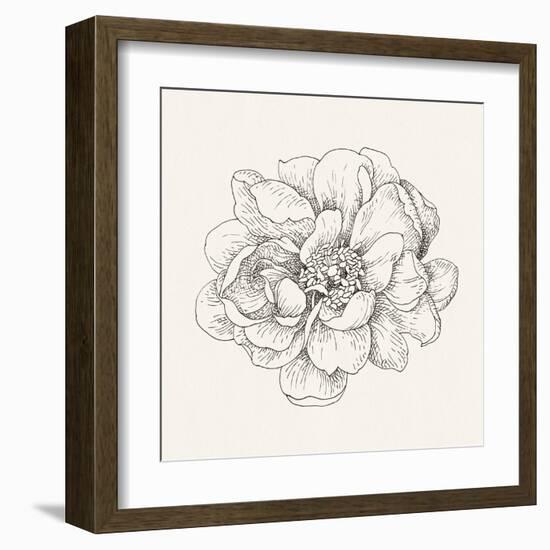 Pen and Ink Florals IV-Danhui Nai-Framed Art Print