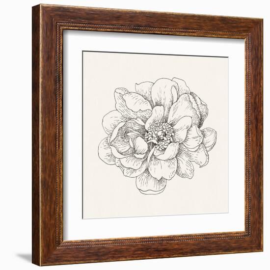 Pen and Ink Florals IV-Danhui Nai-Framed Art Print