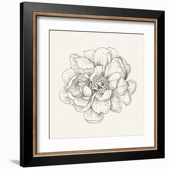 Pen and Ink Florals IV-Danhui Nai-Framed Art Print