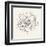 Pen and Ink Florals IV-Danhui Nai-Framed Art Print