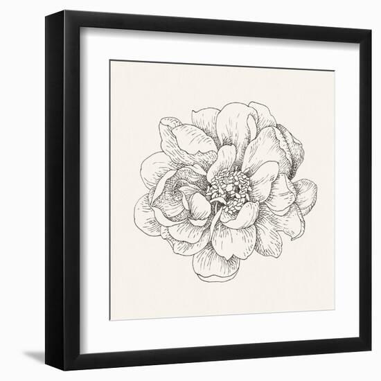 Pen and Ink Florals IV-Danhui Nai-Framed Art Print