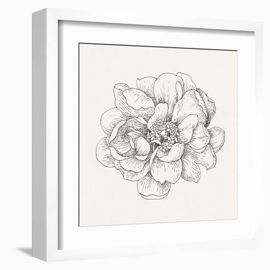 Pen and Ink Florals IV-Danhui Nai-Framed Art Print