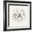 Pen and Ink Florals IV-Danhui Nai-Framed Art Print