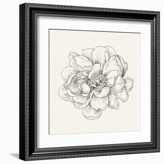 Pen and Ink Florals IV-Danhui Nai-Framed Art Print