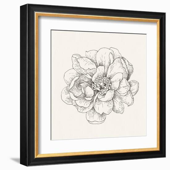 Pen and Ink Florals IV-Danhui Nai-Framed Art Print