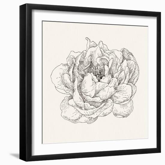 Pen and Ink Florals V-Danhui Nai-Framed Art Print