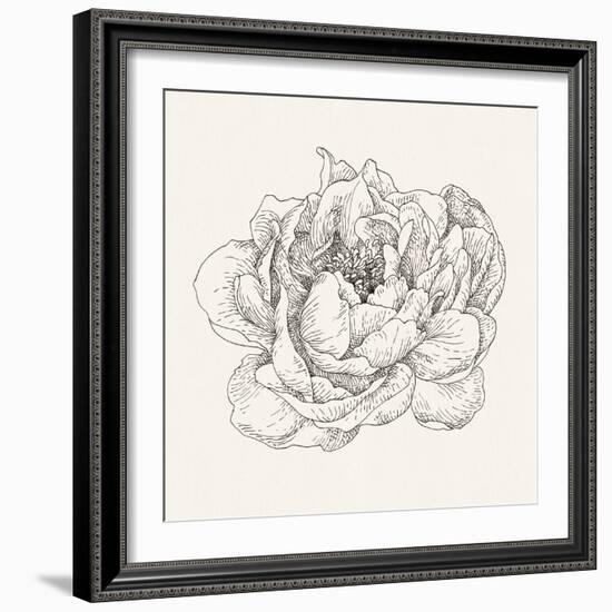 Pen and Ink Florals V-Danhui Nai-Framed Art Print