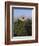 Pena National Palace, UNESCO World Heritage Site, Sintra, Portugal, Europe-Amanda Hall-Framed Photographic Print