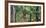 Pench National Park-Art Wolfe-Framed Photographic Print