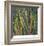 Pencil Cactus 2-Ken Bremer-Framed Limited Edition