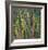 Pencil Cactus 2-Ken Bremer-Framed Limited Edition