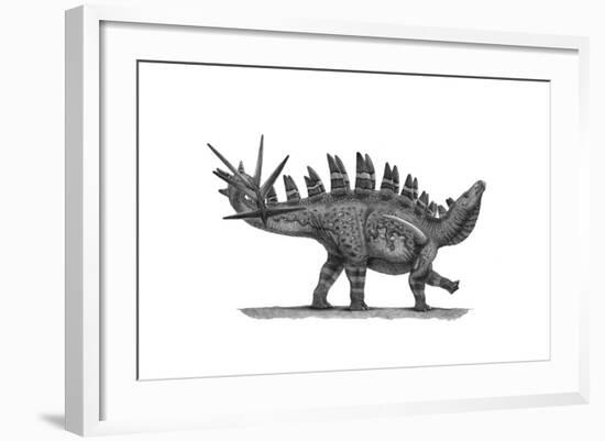 Pencil Drawing of Chungkingosaurus Jiangbeiensis-null-Framed Art Print