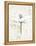 Pencil Floral I Gold-Avery Tillmon-Framed Stretched Canvas