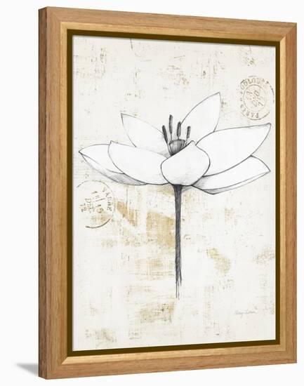 Pencil Floral I Gold-Avery Tillmon-Framed Stretched Canvas