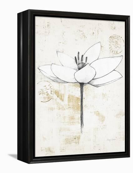 Pencil Floral I Gold-Avery Tillmon-Framed Stretched Canvas