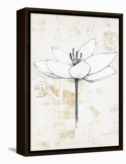 Pencil Floral I Gold-Avery Tillmon-Framed Stretched Canvas