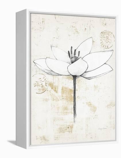 Pencil Floral I Gold-Avery Tillmon-Framed Stretched Canvas