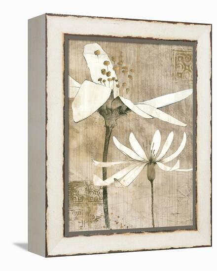 Pencil Floral II-Avery Tillmon-Framed Stretched Canvas