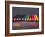 Pencils On Dark Background-vesnacvorovic-Framed Photographic Print